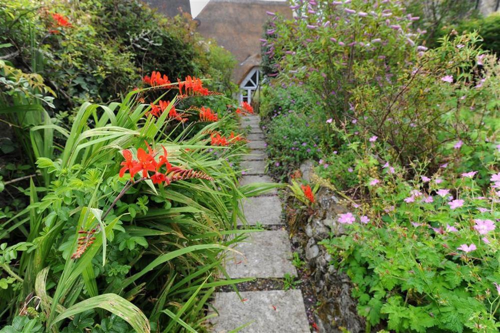 Villa The Nest Lyme Regis Esterno foto